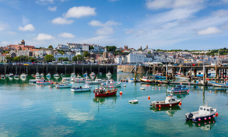 Lifeboat Prevents a Cat-astrophe!