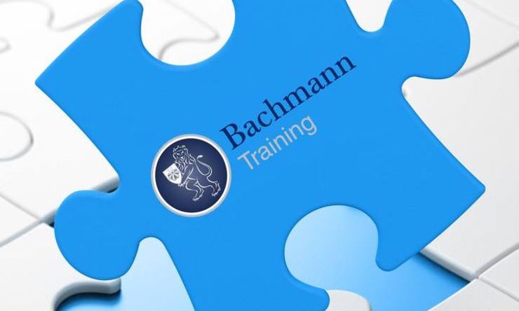 Bachmann Training Learners get excellent results