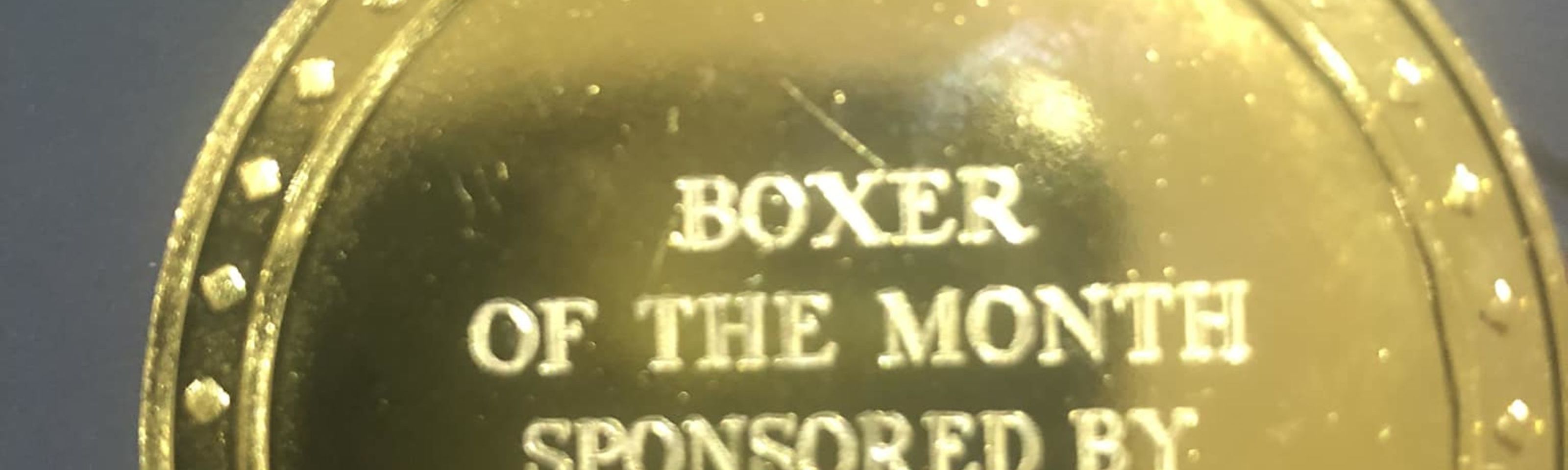 Bachmann Sponsors Guernsey Boxing