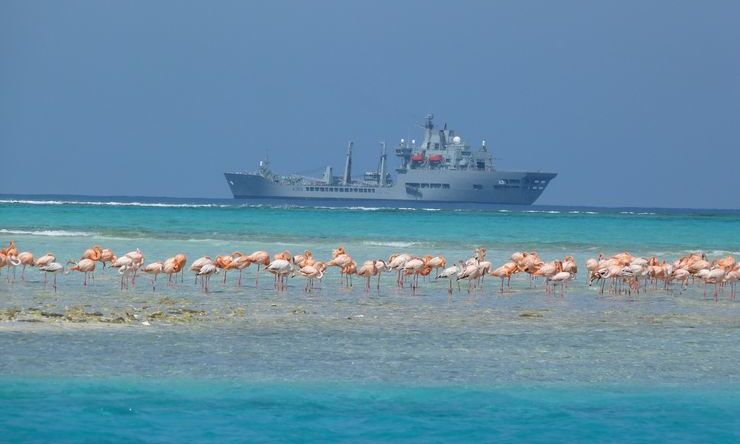 rfa-wave-knight-off-east-caicos