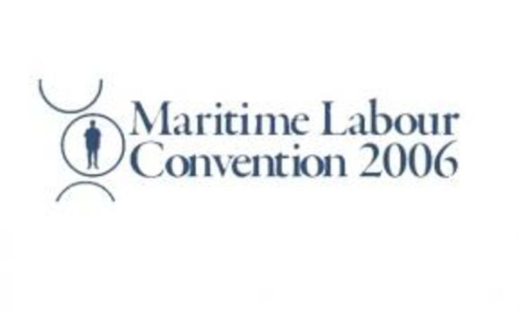 First annual MLC audit